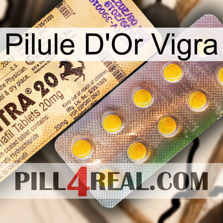 Vigra Gold Pill new06